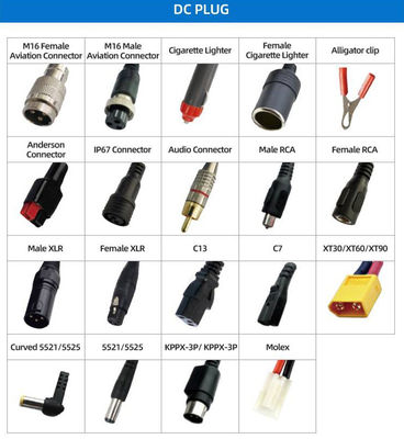12V 14.4V 14.6V 29.2V 10A Akcesoria do baterii litowej 4S Lifepo4 Ładowarka baterii
